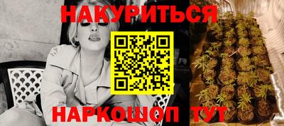 ECSTASY Будённовск
