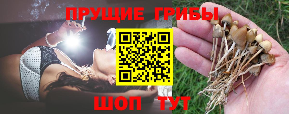 Новотроицк  Галлюциногенные грибы мицелий  Псилоцибиновые грибы MAGIC MUSHROOMS  купить наркотик  Вход с VPN 